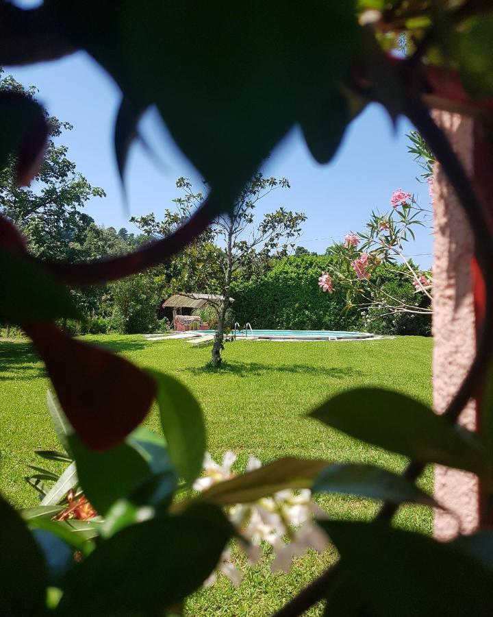 Casa Pilar Villa Capannori Kültér fotó