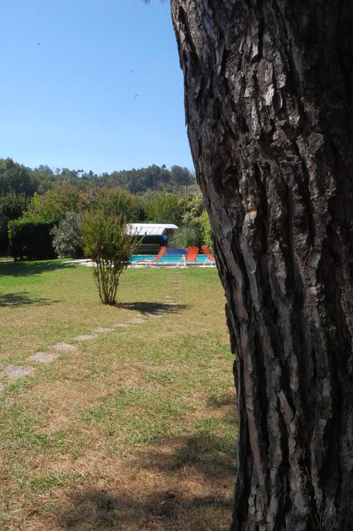 Casa Pilar Villa Capannori Kültér fotó