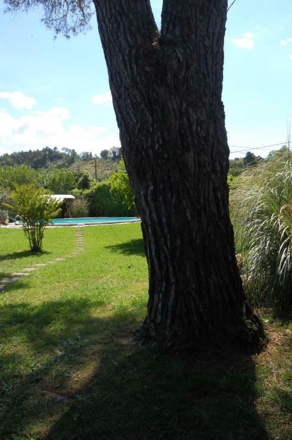 Casa Pilar Villa Capannori Kültér fotó